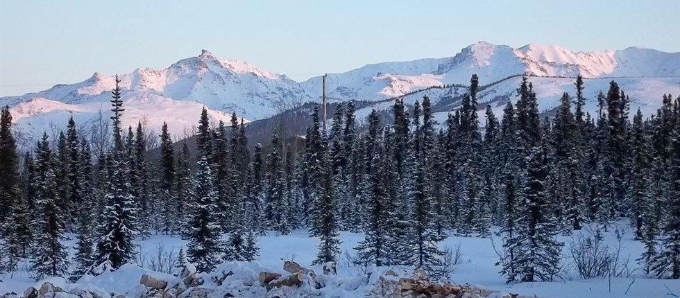 הילי Denali Touch Of Wilderness B&B מראה חיצוני תמונה