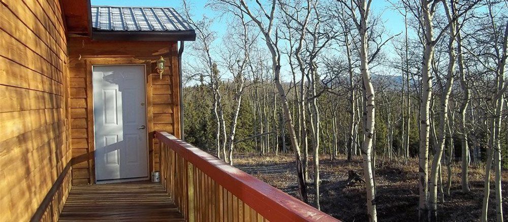 הילי Denali Touch Of Wilderness B&B מראה חיצוני תמונה
